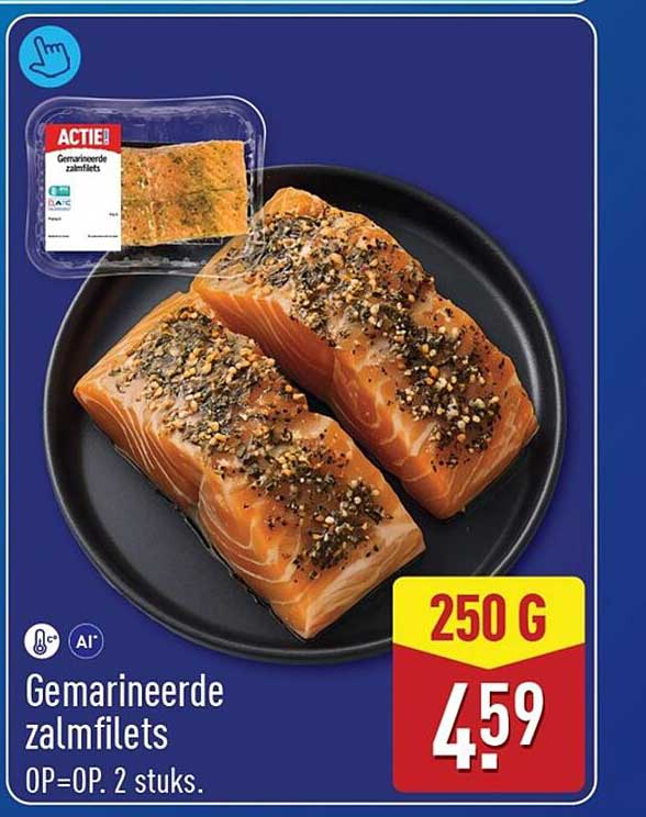 Gemarineerde zalmfilets