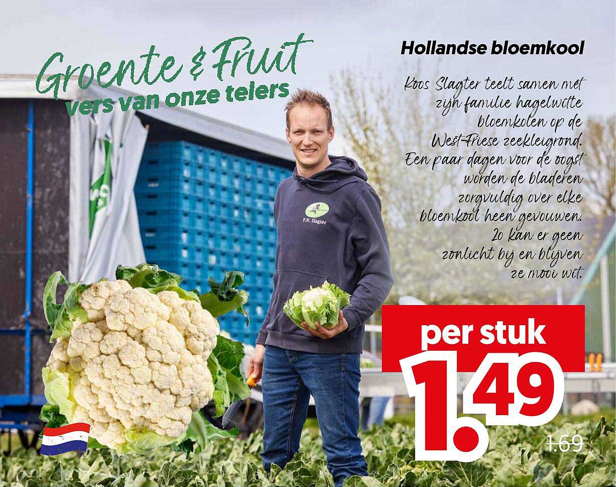 Hollandse bloemkool