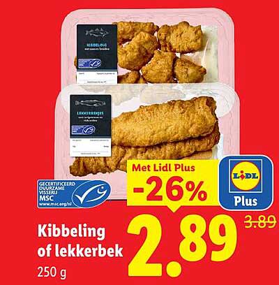 Kibbeling of lekkerbek -26%