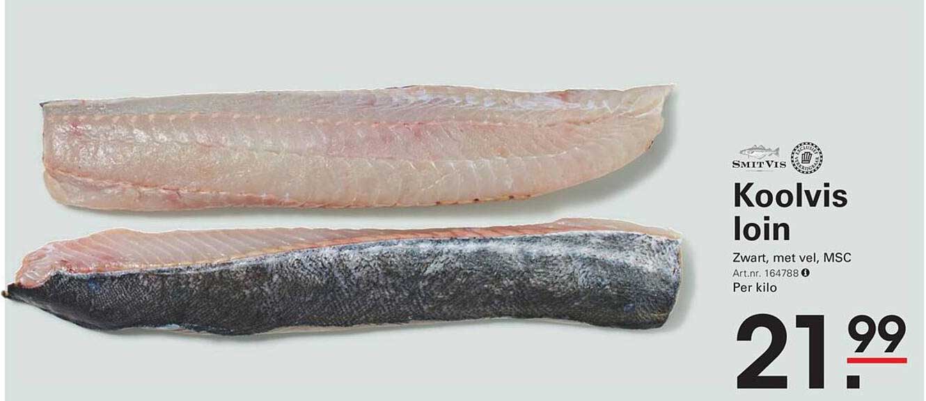 Koolvis loin