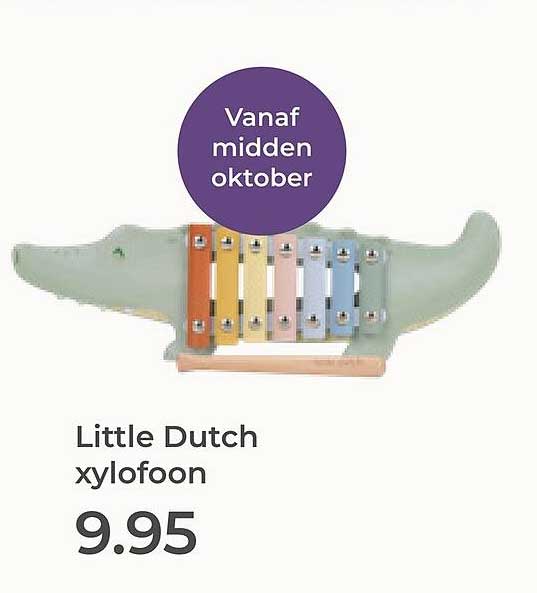 Little Dutch xylofoon