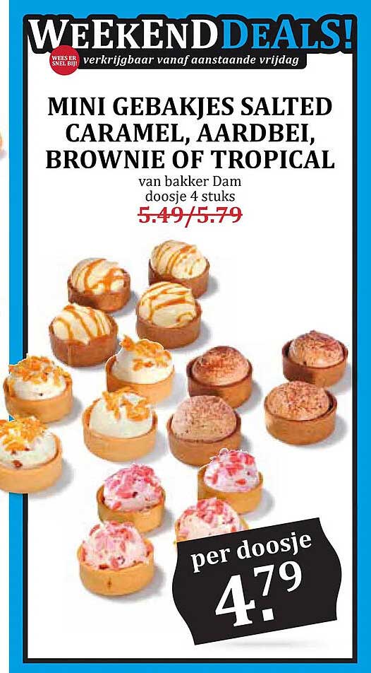 MINI GEBAKJES SALTED CARAMEL, AARDBEI, BROWNIE OF TROPICAL van bakker Dam doosje 4 stuks