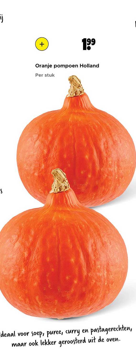 Oranje pompoen Holland