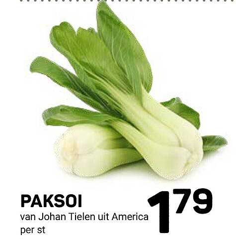 PAKSOI van Johan Tielen uit America per st