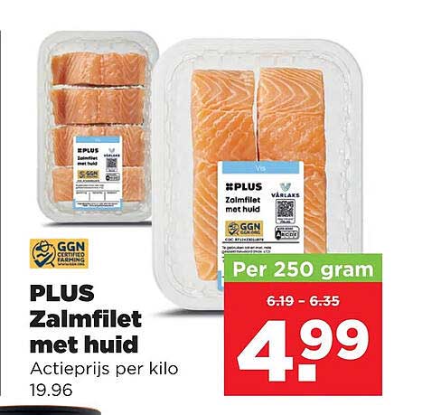 PLUS Zalmfilet met huid