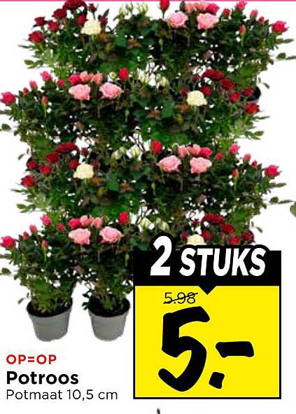 Potroos 2 STUKS