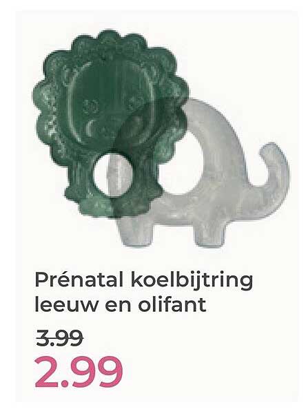 Prénatal koelbitering leeuw en olifant