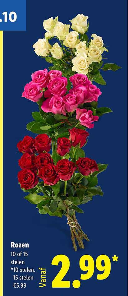 Rozen 10 of 15 stelen
