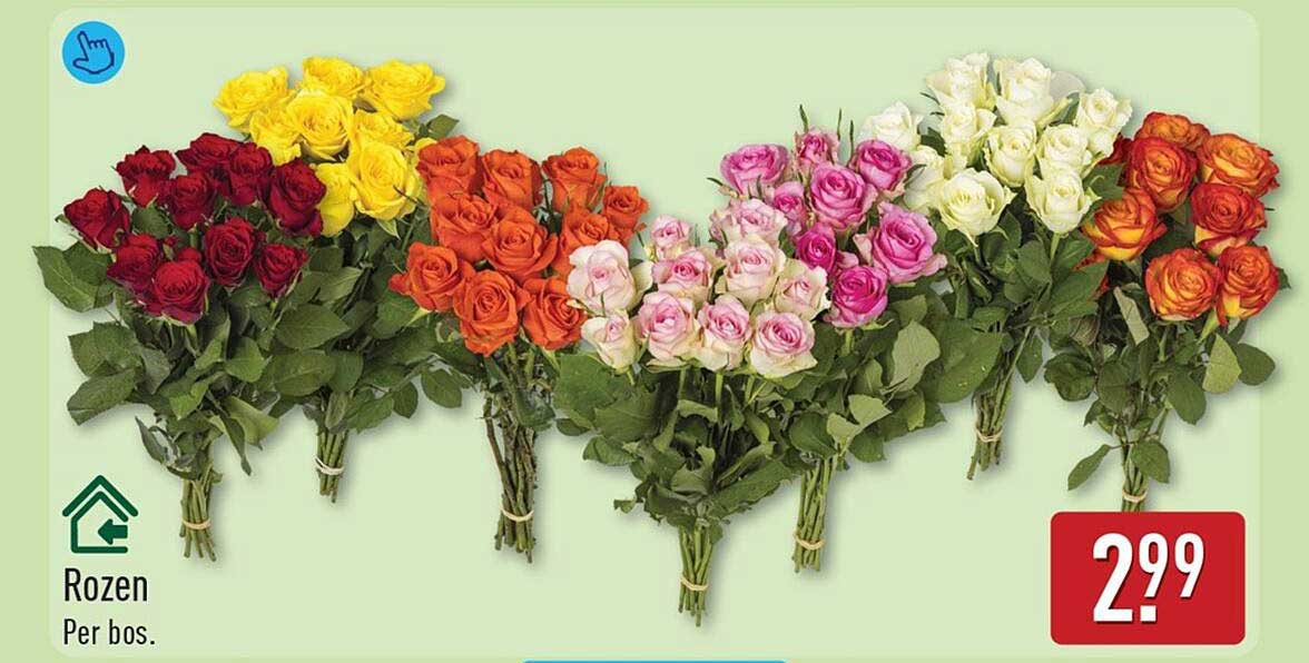 Rozen Per bos.