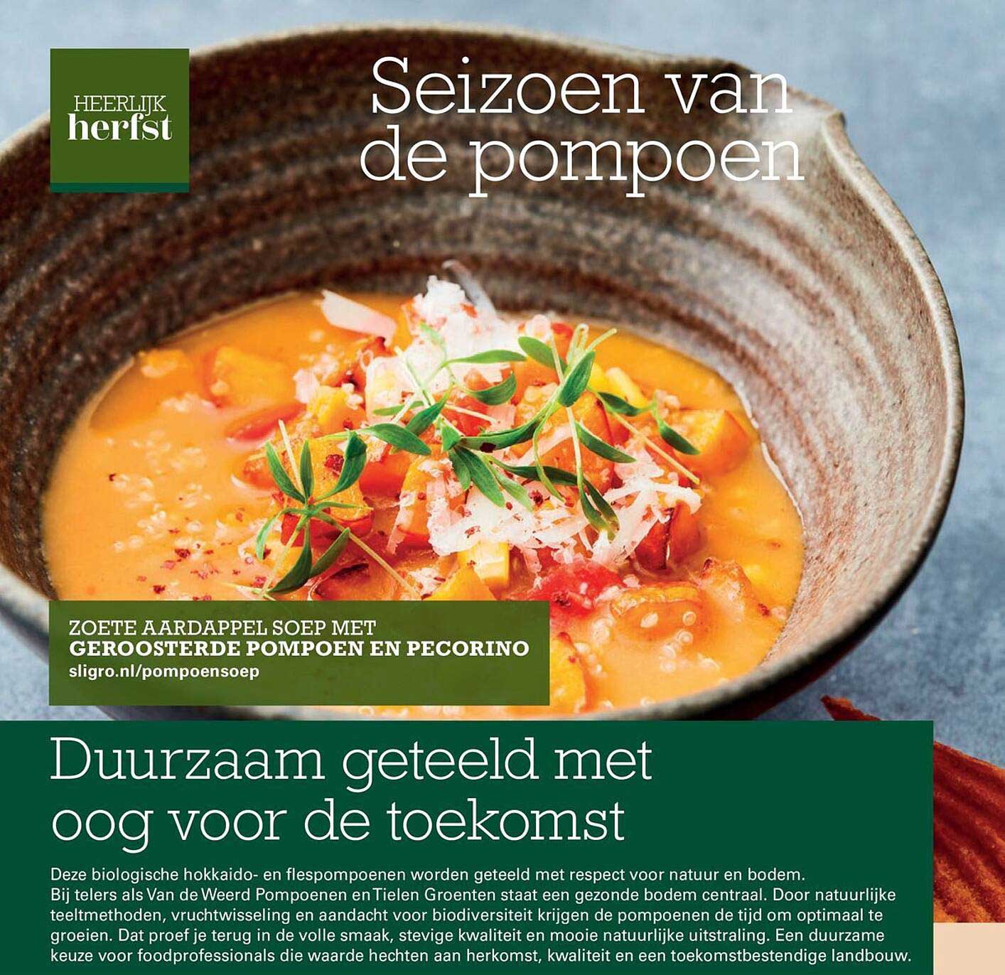 Seizoen van de pompoen