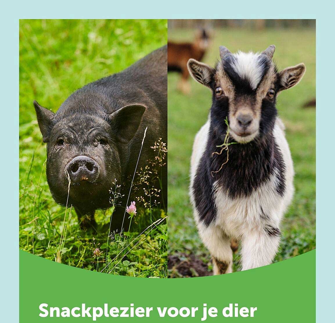 Snackplezier voor je dier