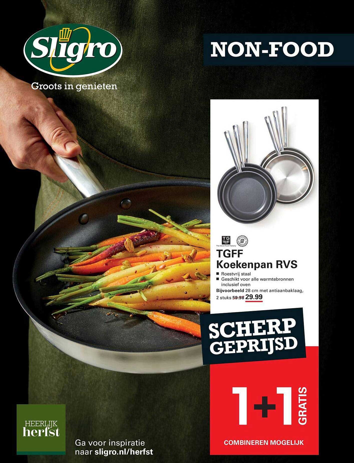 TGFF Koekenpan RVS 1+1 gratis