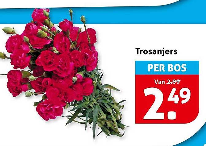 Trosanjers PER BOS