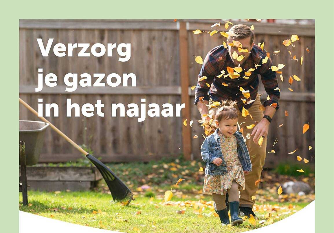 Verzorg je gazon in het najaar