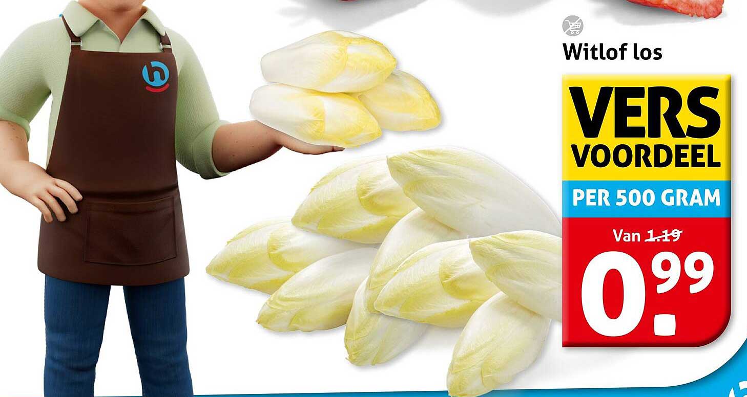 Witlof los VERS VOORDEEL PER 500 GRAM