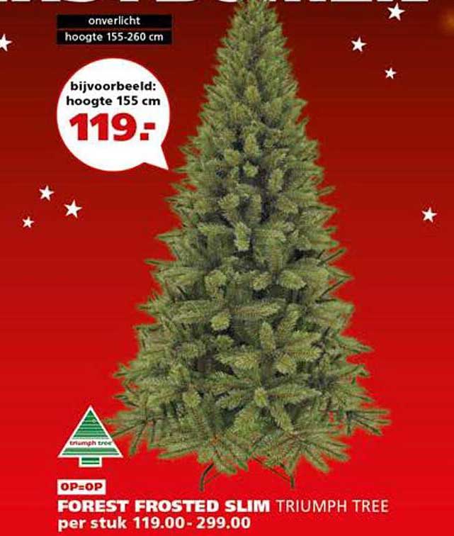 FOREST FROSTED SLIM TRIUMPH TREE