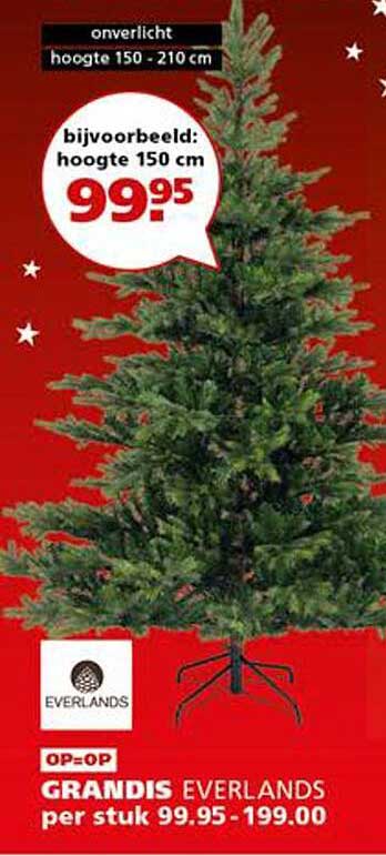 GRANDIS EVERLANDS per stuk 99.95-199.00
