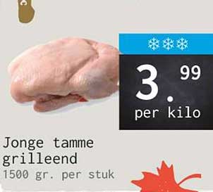 Jonge tamme grilleend