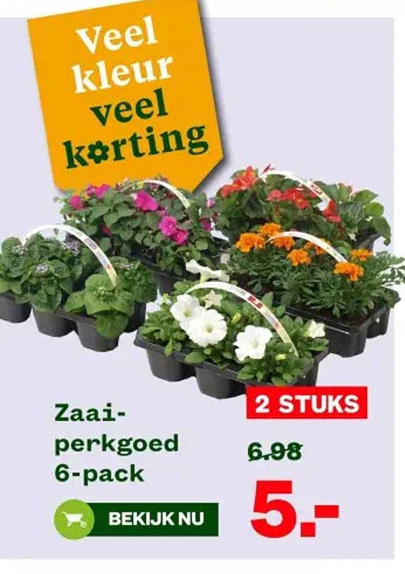 Zaaipergoed 6-pack