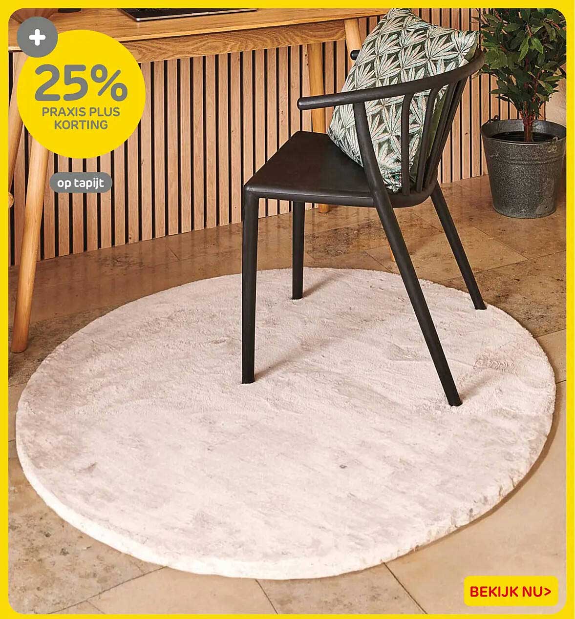 25% PRAXIS PLUS KORTING op tapijt