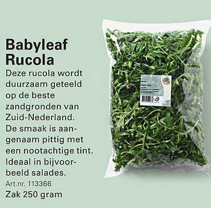 Babyleaf Rucola