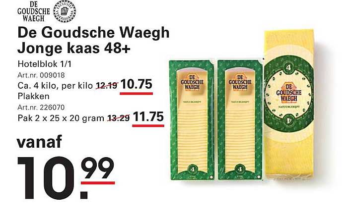 De Goudsche Waegh Jonge kaas 48+