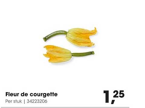 Fleur de courgette