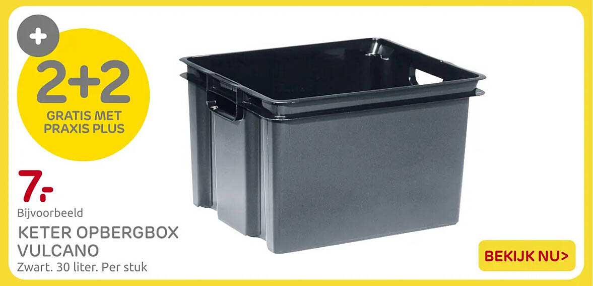 KETER OPBERGBOX VULCANO 2+2 GRATIS MET PRAXIS PLUS