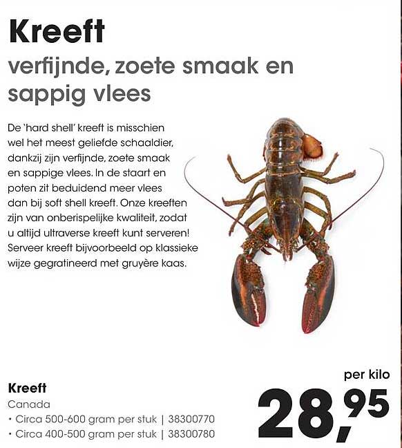 Kreeft