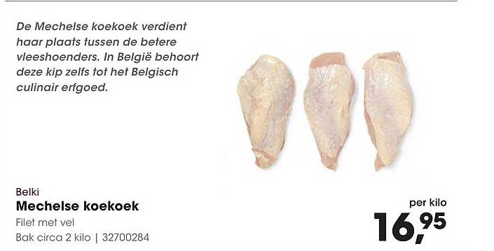 Mechelse koekoek