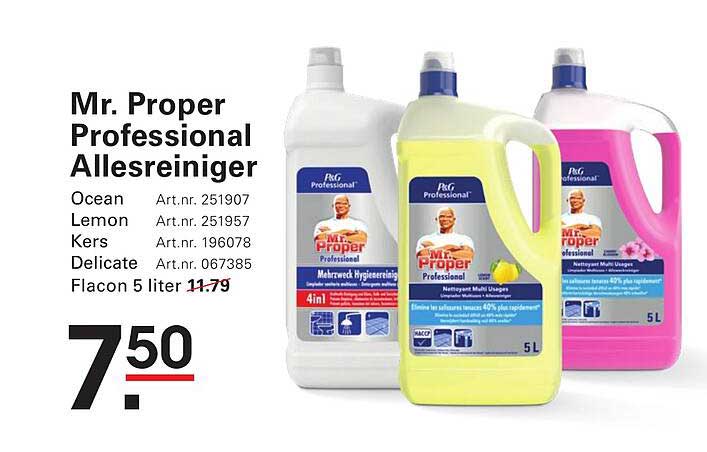 Mr. Proper Professional Allesreiniger