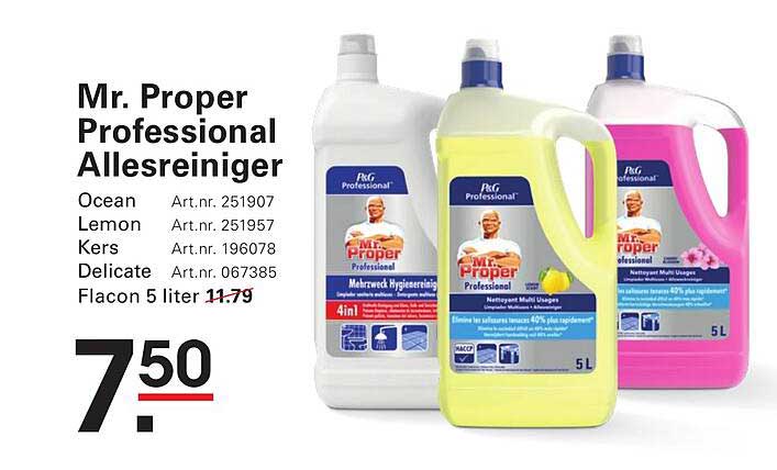 Mr. Proper Professional Allesreiniger