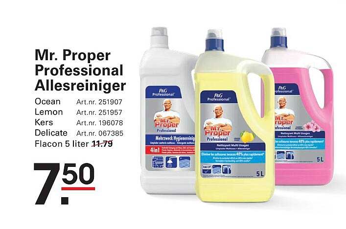 Mr. Proper Professional Allesreiniger