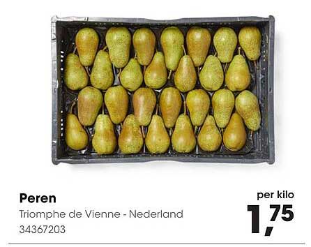 Peren