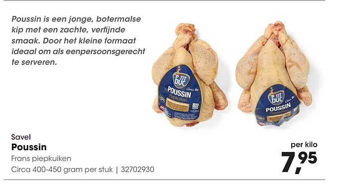 Poussin