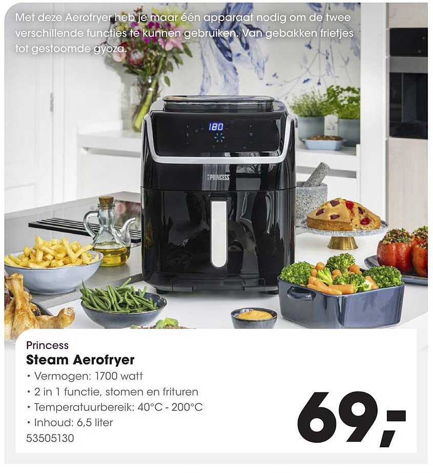 Princess Steam Aerofryer