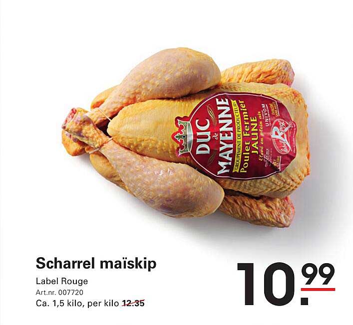 Scharrel maïskip