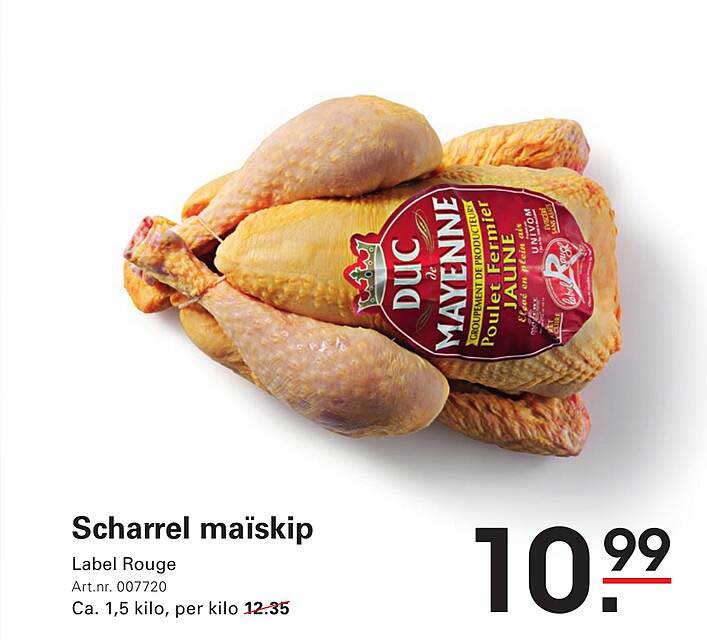Scharrel maïskip