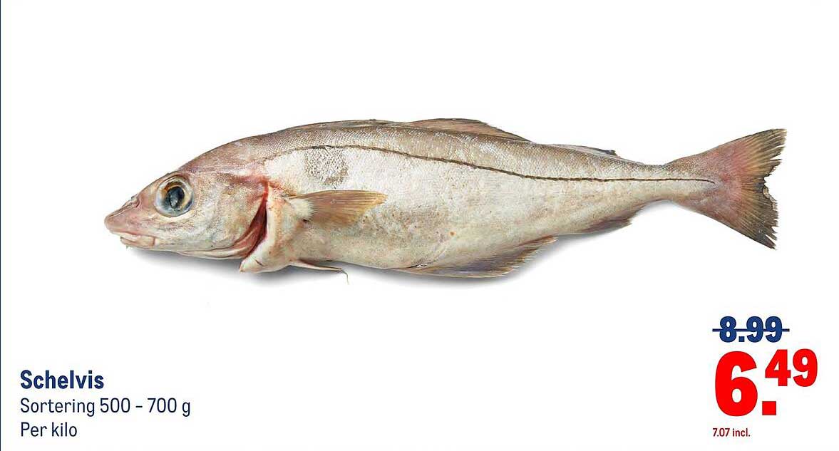 Schelvís Sortering 500 - 700 g Per kilo