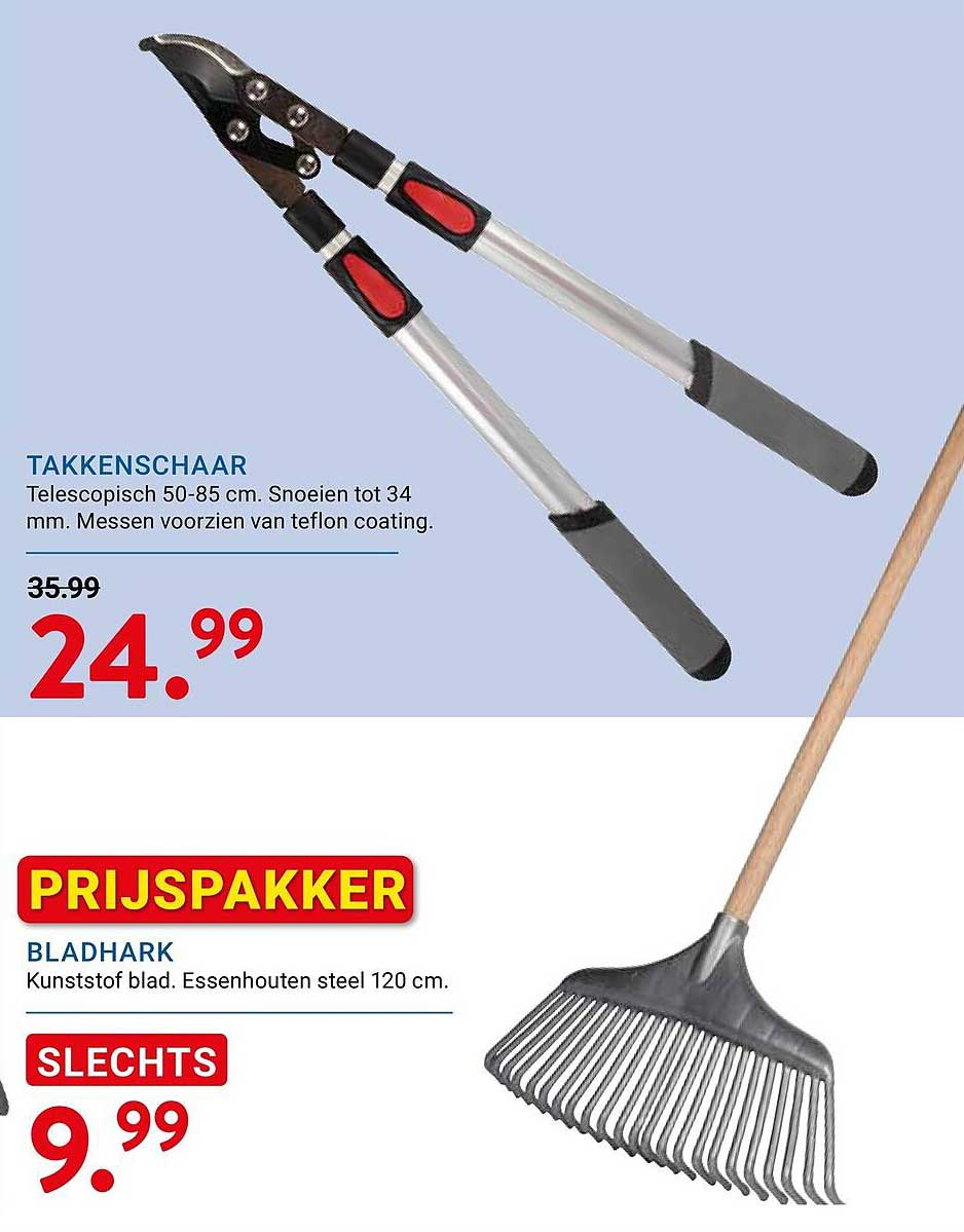 TAKKENSCHAAR
