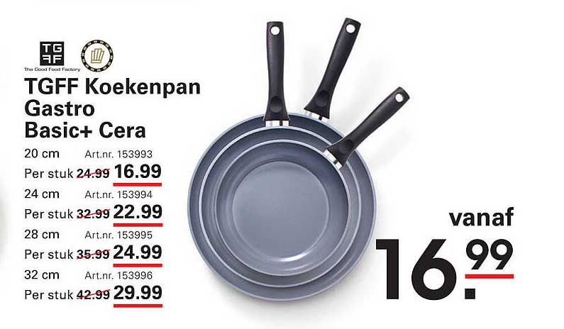 TGFF Koekenpan Gastro Basic+ Cera