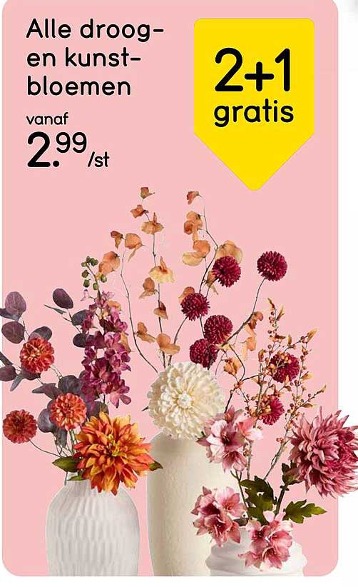 Alle droog- en kunst-bloemen 2+1 gratis