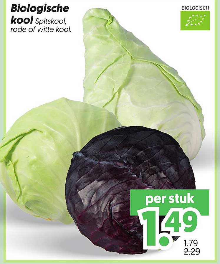 Biologische kool: spitskool, rode of witte kool