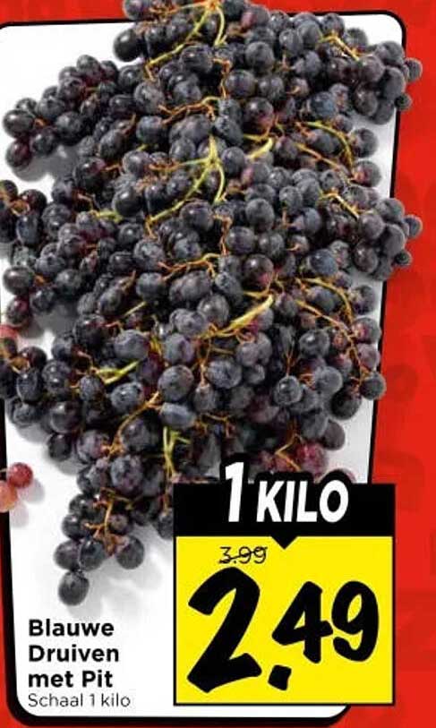 Blauwe Druiven met Pit Schaal 1 kilo