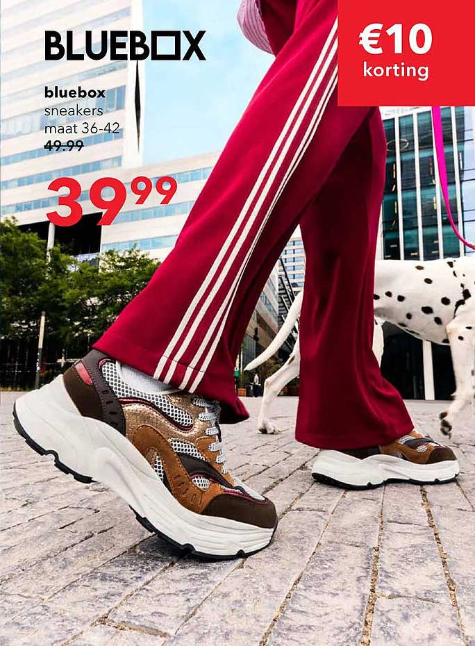 bluebox sneakers maat 36-42