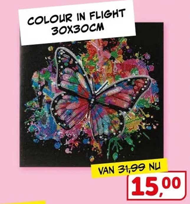 COLOUR IN FLIGHT 30X30CM