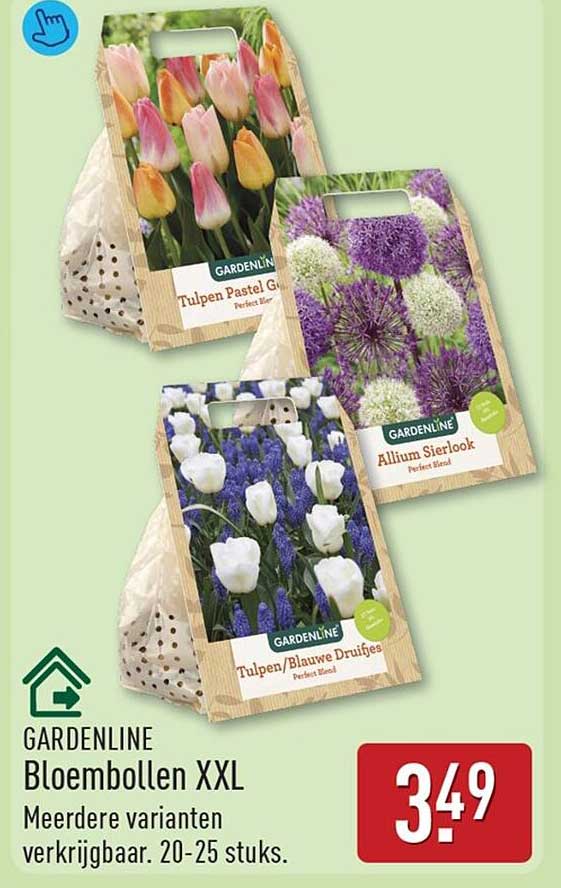 GARDENLINE Bloembollen XXL