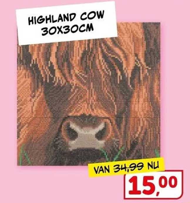 HIGHLAND COW 30X30CM