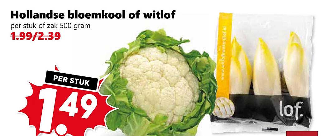 Hollandse bloemkool of witlof