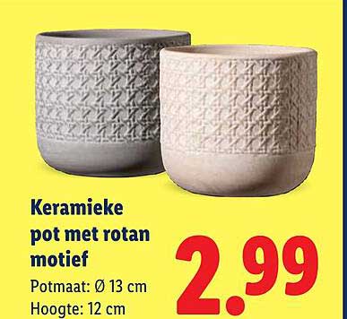 Keramieke pot met rotan motief